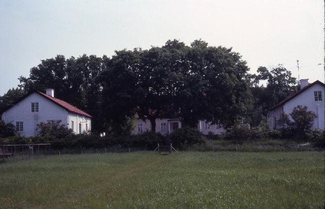 Arnöberg 1979