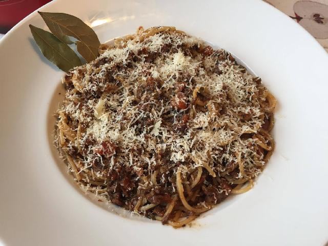 Bolognese