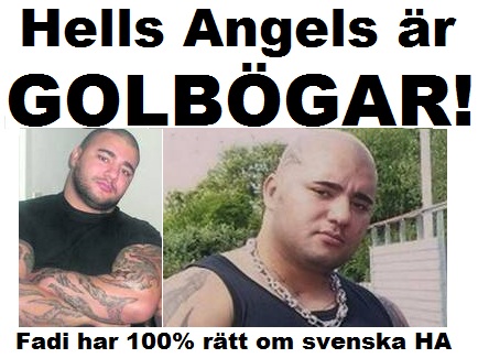 Fadi bonde - hells angels är golbögar