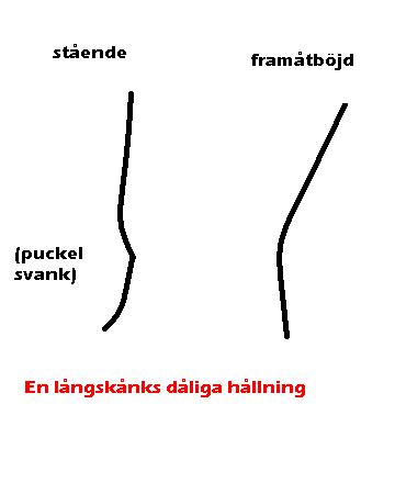 Hållning