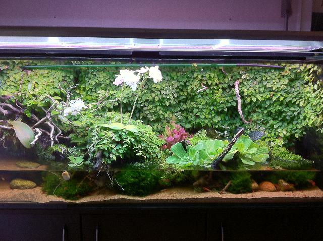 Vivarium